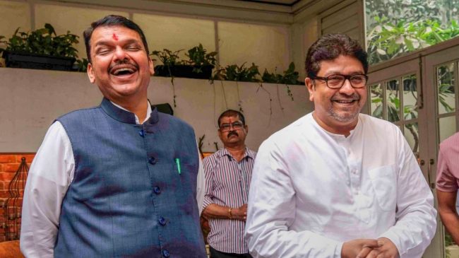 Devendra Fadnavis Raj Thackeray meeting
