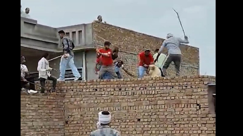 Fight Incident