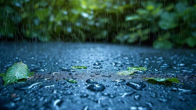 Ghaziabad Weather Ghaziabad News, Ghaziabad weather, Weather Updates, Today's Weather, Kanwariyas, Kanwar Yatra 2025, Ghaziabad, Ghaziabad Latest News, गाजियाबाद खबर, गाजियाबाद, गाजियाबाद ताजा खबर, गाजियाबाद मौसम, मौसम अपडेट, आज का मौसम, कांवड़ियां, कांवड़ यात्रा 2025