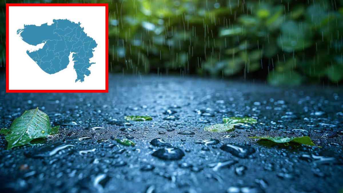 Gujarat Weather News (8)