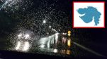 Gujarat Weather news (6)