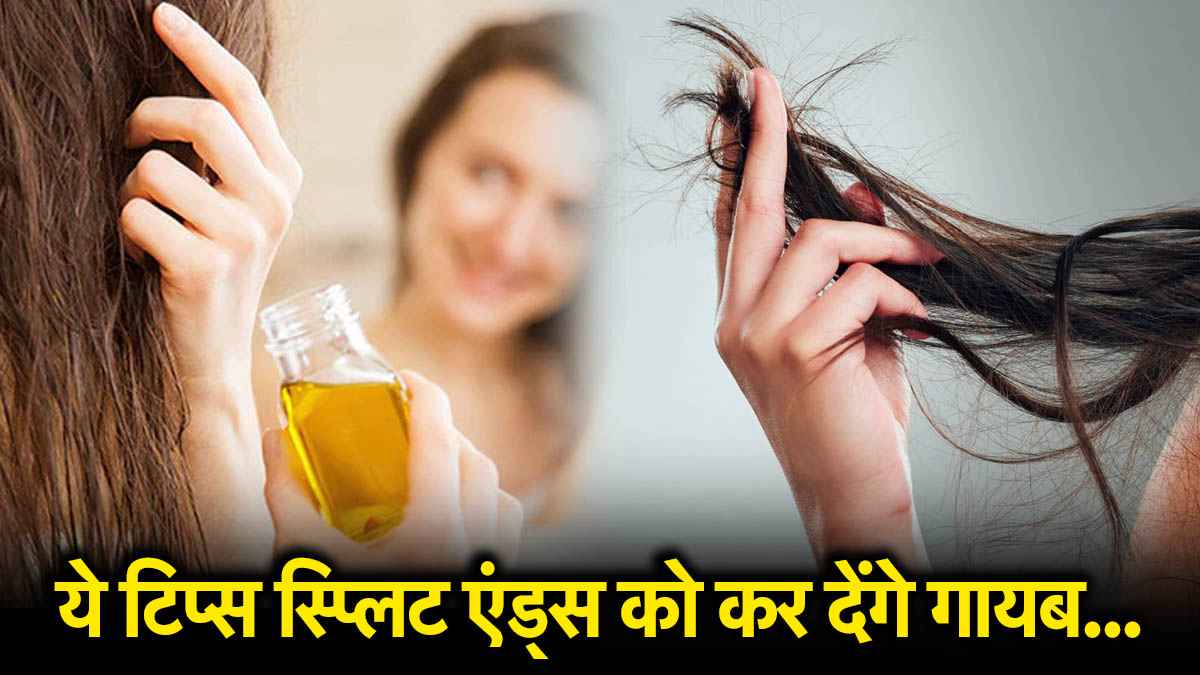 Hair Care Tips: अब रूखे-सूखे और दोमुंहे बालों से मिलेगी राहत, जानिए हेयर सीक्रेट टिप्स