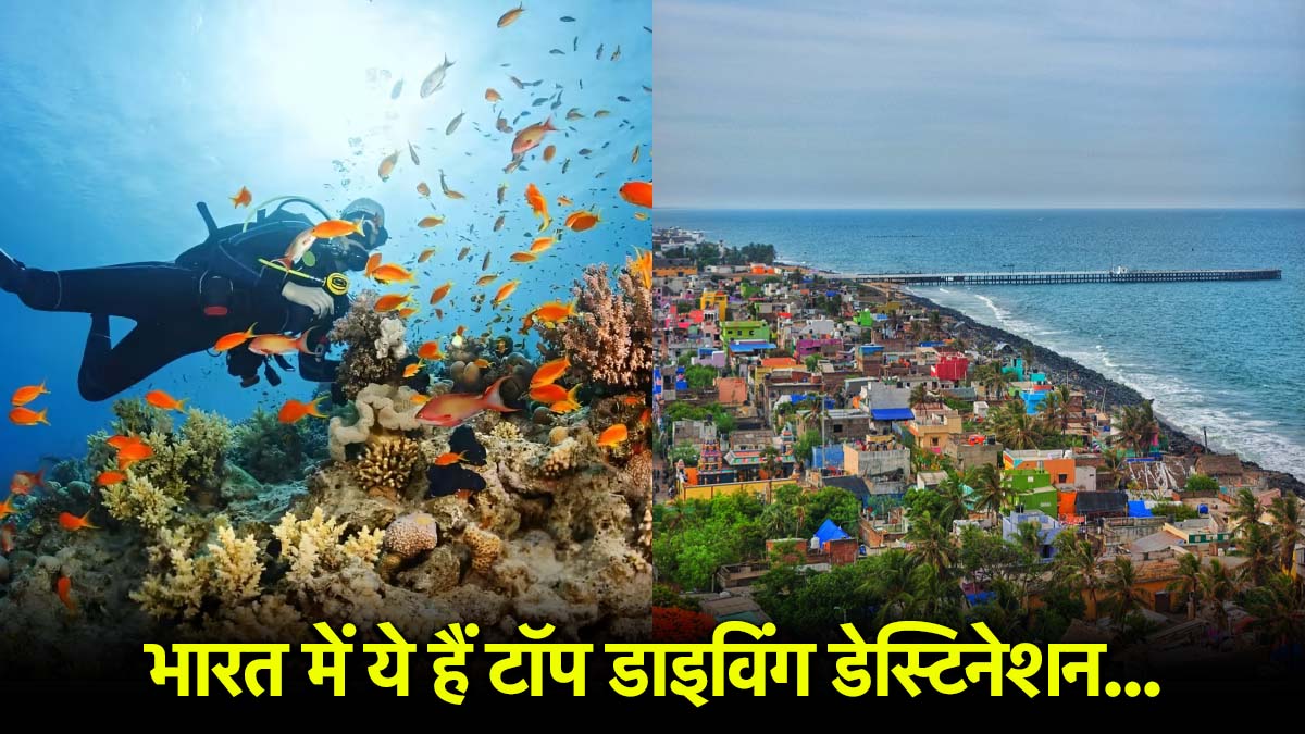 स्कूबा डाइविंग का शौक है? इन जगहों पर करें पानी के अंदर की रोमांचक सैर