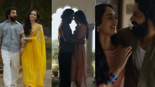 Maalik first song Naamumkin