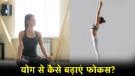 International Yoga Day 2025
