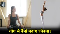 International Yoga Day 2025