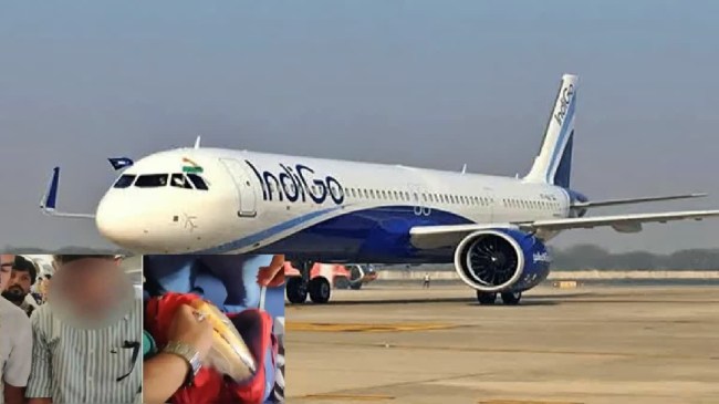 Indigo flight, Indigo Passenger, Video Viral, Life Jacket, Latest News, इंडिगो फ्लाइट, इंडिगो यात्री, वीडियो वायरल, लाइफ जैकेट, ताजा खबर