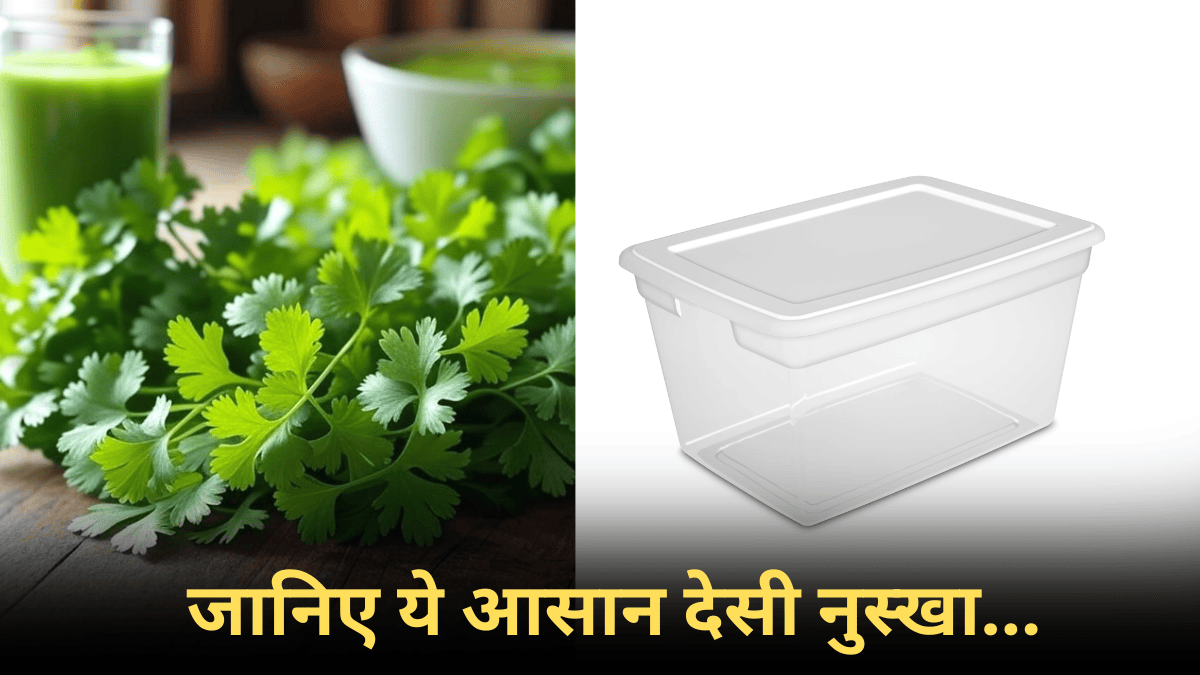 Home Hacks: मुरझाए धनिए को बनाएं फिर से हरा-भरा, अपनाएं ये आसान तरीका