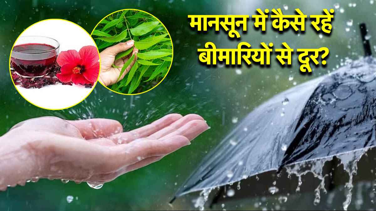 Monsoon Tips: क्या आपकी भी हो गई है इम्यूनिटी कमजोर? ट्राई करें ये आयुर्वेदिक इलाज  