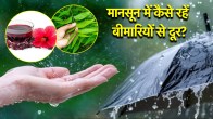 Health Tips