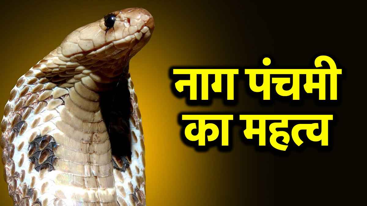 Nag Panchami 2025