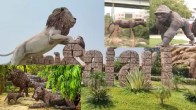 Noida News, Noida Authority, Noida, Wilderness Trail, Latest News, Okhla Bird Sanctuary, नोएडा समाचार, नोएडा प्राधिकरण, नोएडा, जंगल ट्रेल, ताजा खबर, ओखला पक्षी विहार