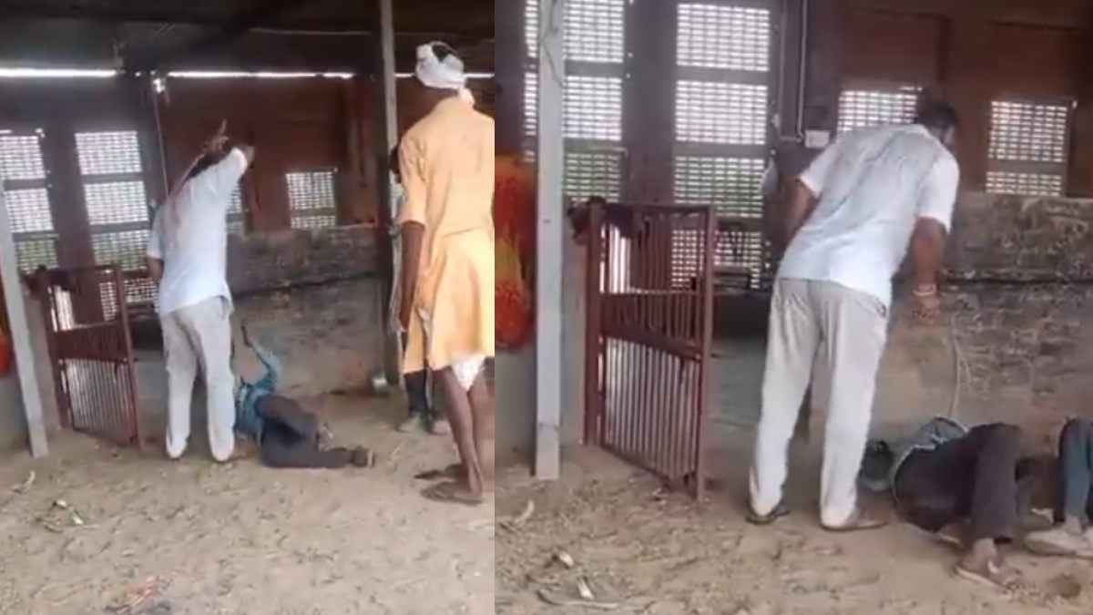Video : चोरी के शक में प्रधान ने मजदूरों को दी तालिबानी सजा, बंधक बनाकर पीटा