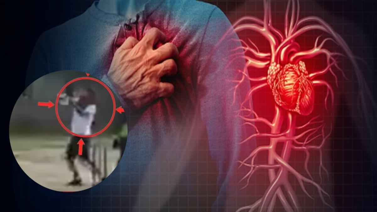 क्रिकेट खेलते हुए आया हार्ट अटैक, फिट दिखने वाले नौजवानों के साथ क्यों हो रहीं ऐसी घटनाएं?