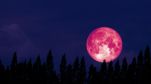 Strawberry Moon 2025