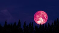 Strawberry Moon 2025