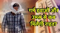 Delhi NCR Weather Forecast