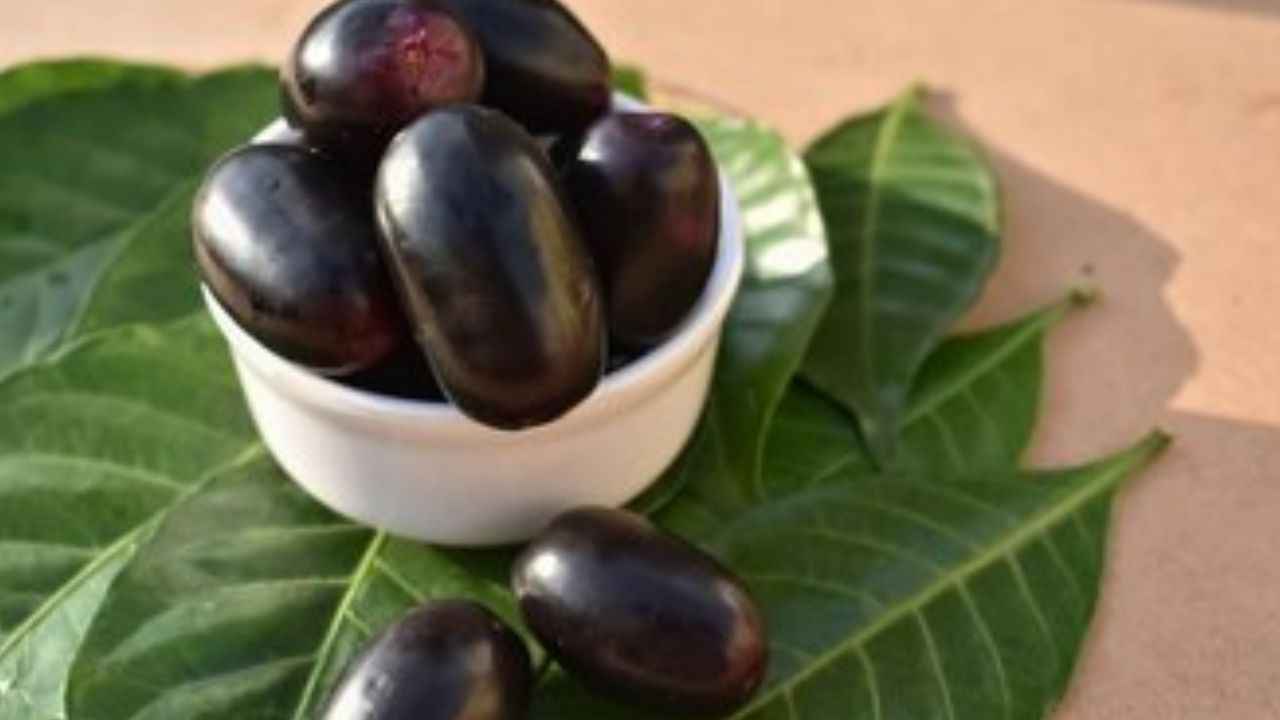 Jamun Benefits