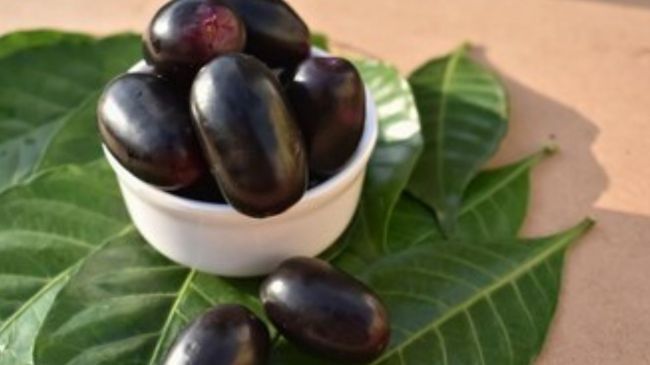 Jamun Benefits