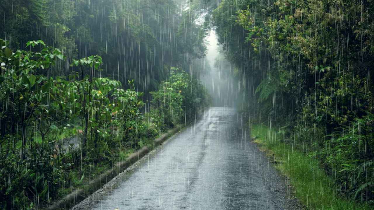 मानसून में किस तरह का कपड़ा पहनना सही? जानें बॉडी के लिए कौन सा कंफर्टेबल