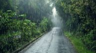 Monsoon Tips
