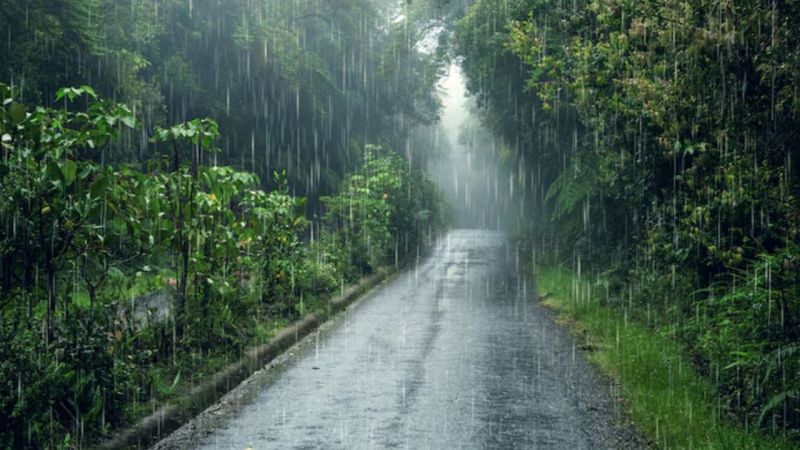 Monsoon Tips