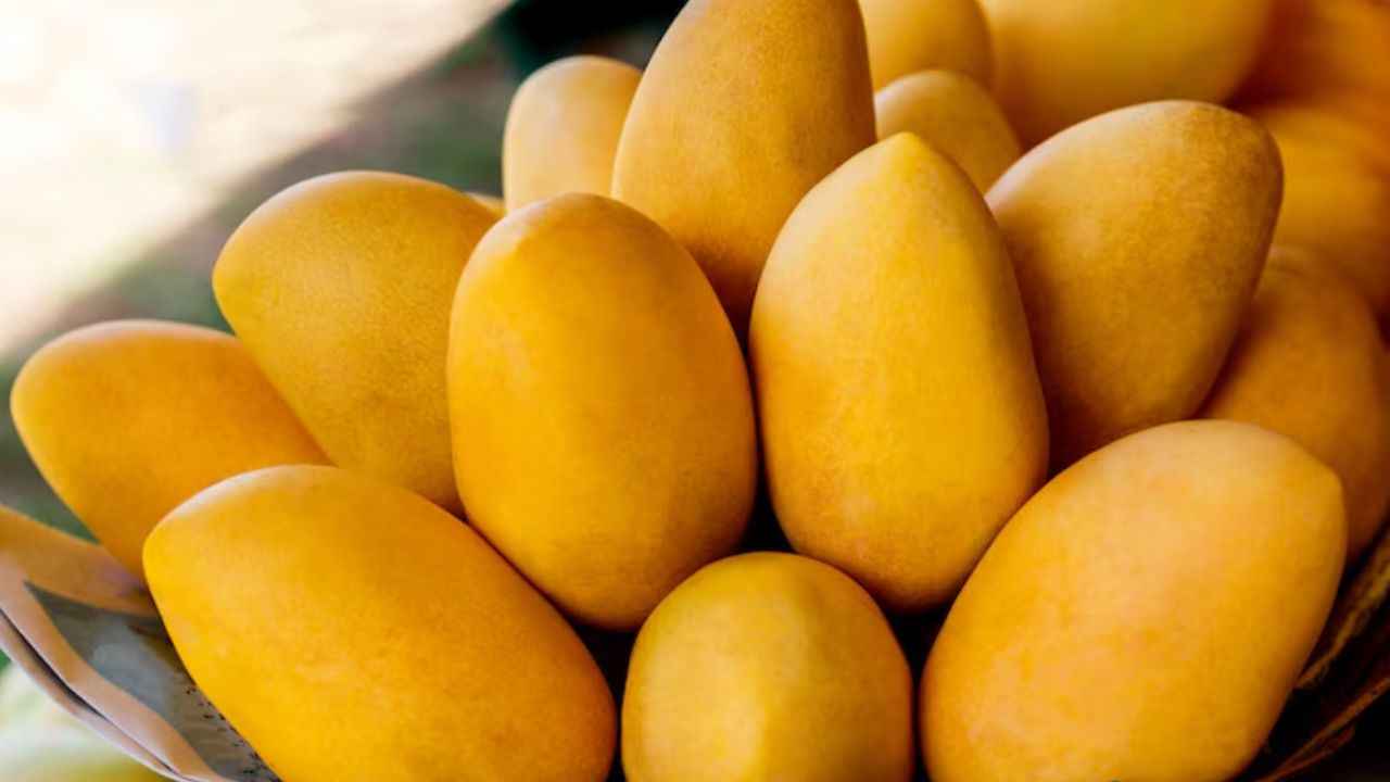Mango Benefits: आम को पानी में भिगोना क्यों जरूरी? जानें इसके फायदे