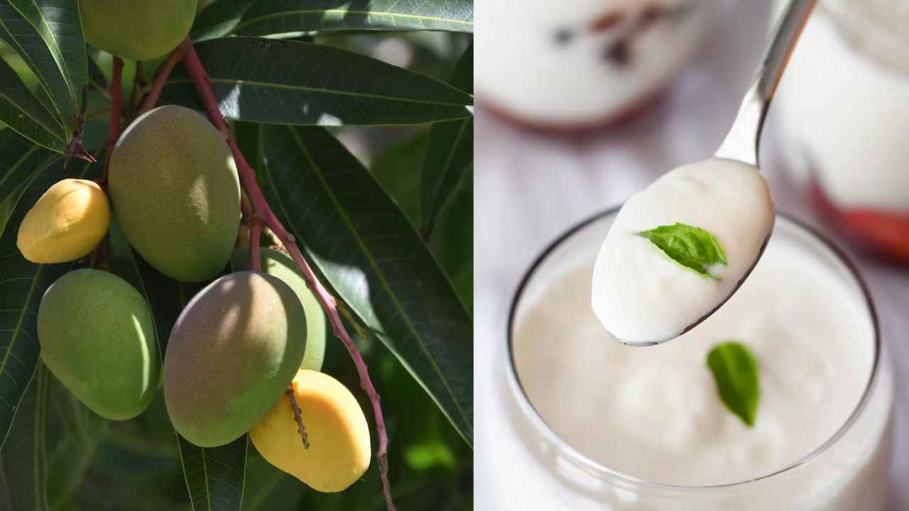 Mango Benefits
