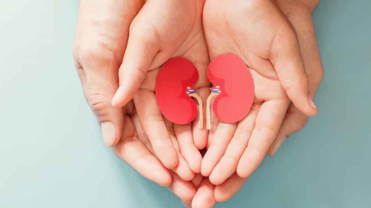 Kidney Disease: किडनी रोग के बारे में क्या हैं 3 गलतफहमियां? जानें डॉक्टर की राय