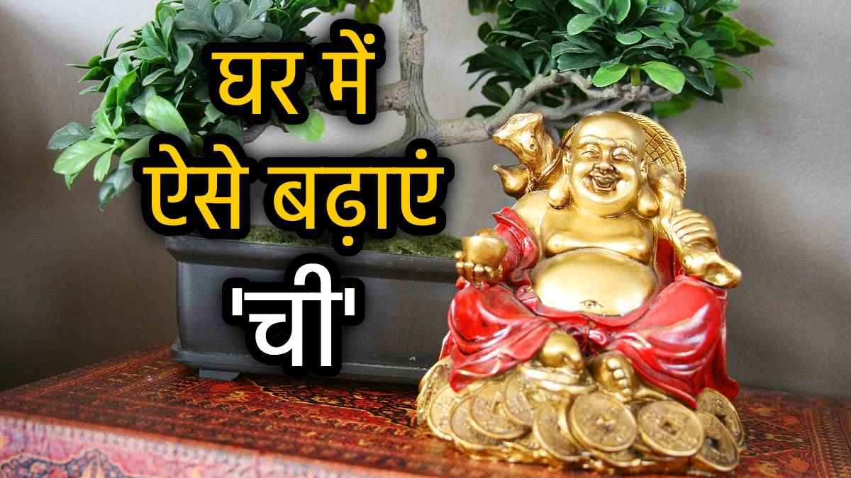 Feng Shui Tips: घर ले आएं फेंगशुई की ये 5 चीजें, चुंबक की तरह खिंची आएगी धन और खुशहाली