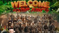 Welcome to the Jungle