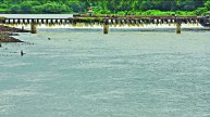 mumbai news, mahrastra,indryani River, pune, इंद्रायणी नदी, मुंबई न्यूज, पूणे