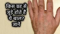 samudrik-shastra-hath-pe-baal-hona-shubh-ya-ashubh