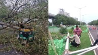 नोएडा न्यूज, ग्रेटर नोएडा न्यूज, आंधी-तूफान, बारिश, Noida News, Greater Noida News, Storm wreaked havoc, Rain, latest News, ताजा खबर