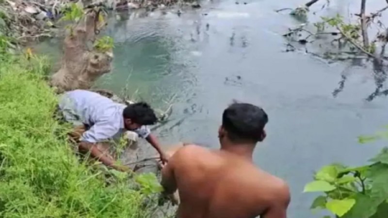 Ghaziabad News, Ghaziabad Police, Ghaziabad crime, Ghaziabad crime news, Ghaziabad Fire Department, Ghaziabad Traffic Police, Cyber ​​crime, Ghaziabad, Ghaziabad Latest News, गाजियाबाद खबर, गाजियाबाद, गाजियाबाद ताजा खबर, गाजियाबाद पुलिस, गाजियाबाद क्राइम खबर, गाजियाबाद अपराध, गाजियाबाद दमकल विभाग, गाजियाबाद ट्रेफिक पुलिस