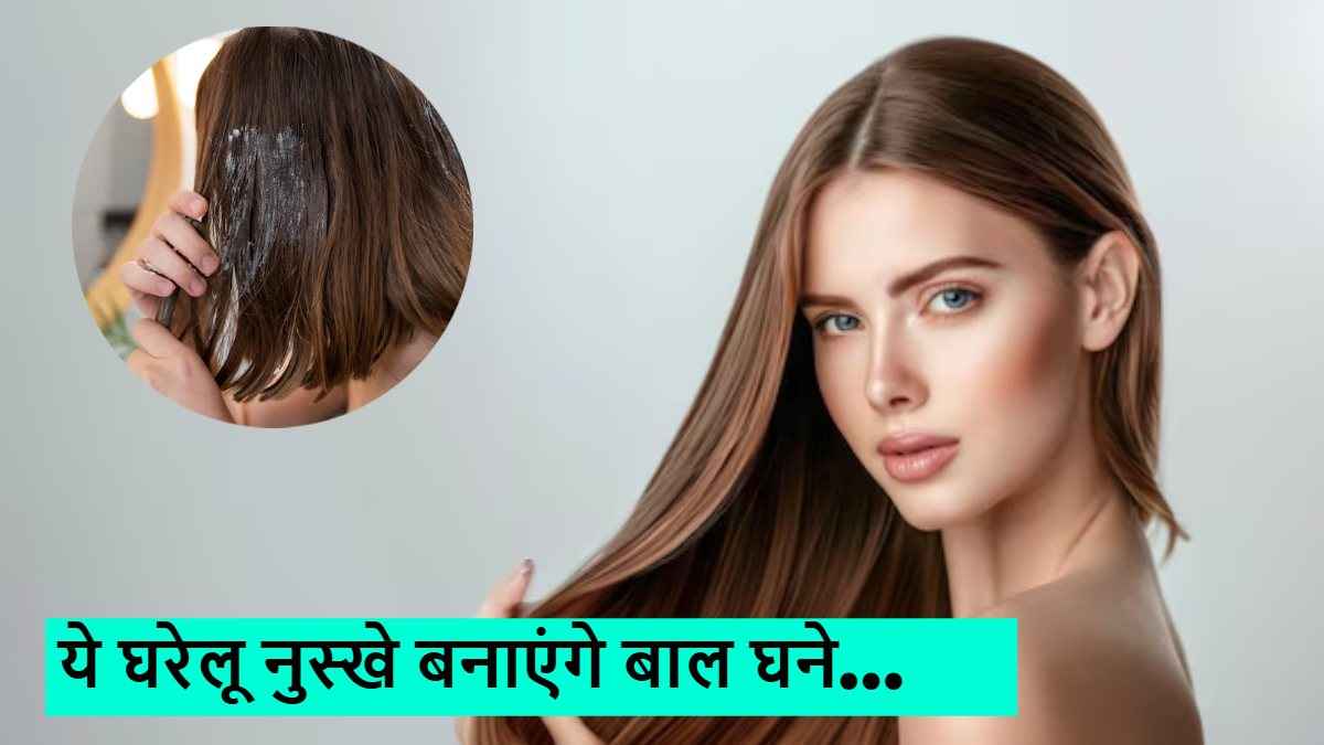 Hair Care Tips: डाइट में शामिल करें ये चीजें, बालों में आ जाएगी जान, जानिए कैसे