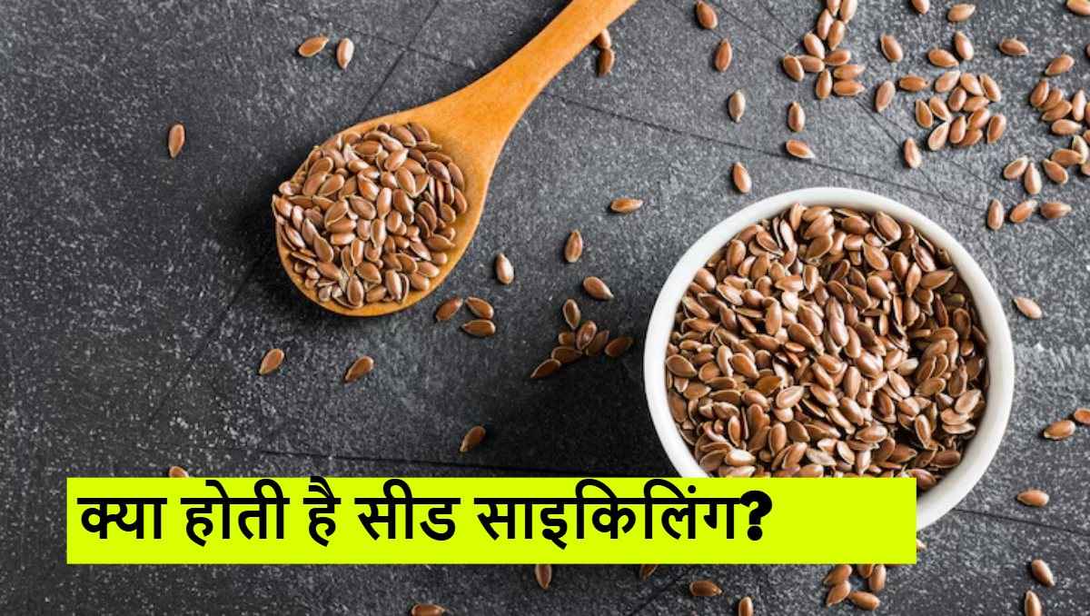 Benefits of Seeds Cycling: क्या होती है सीड साइकिलिंग? पीरियड्स से जुड़ी समस्याओं के लिए कैसे है फायदेमंद