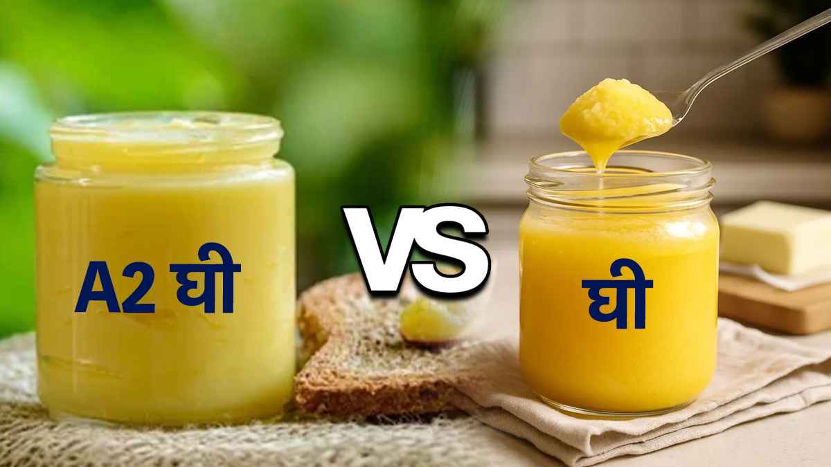 क्या वाकई सेहत के लिए बेहतर है A2 देसी घी? जानिए इस पर एक्सपर्ट की राय