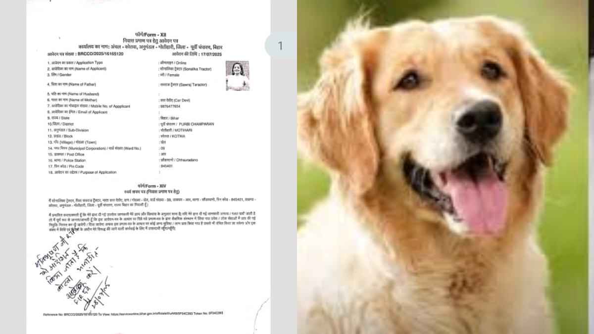 Bihar fake certificate scam