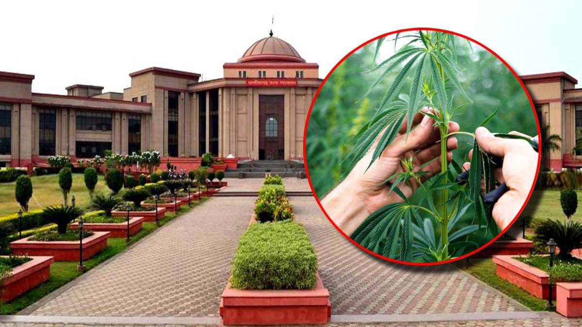 Chhattisgarh High Court