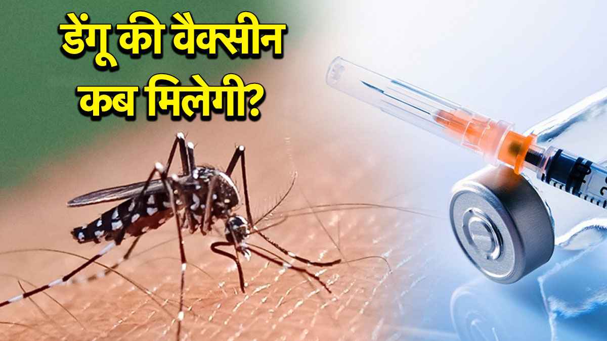 भारत को क्यों पड़ी डेंगू की स्वदेशी वैक्सीन की जरूरत? 10,000 से अधिक ट्रायल हुए