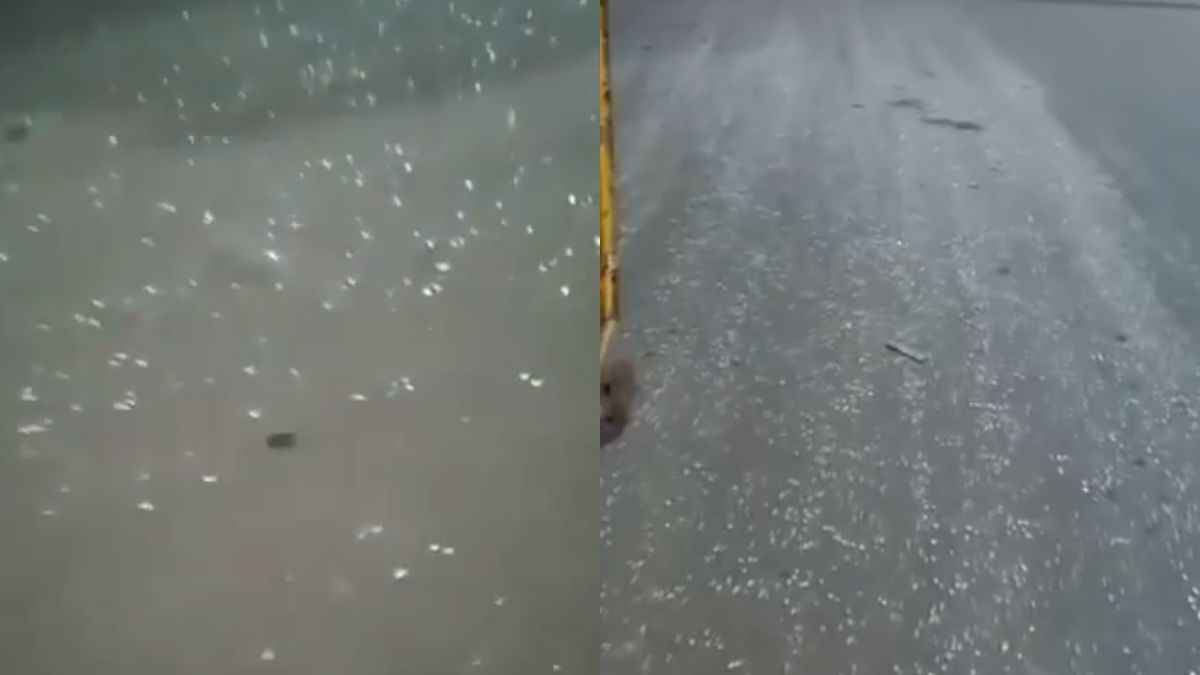 Delhi Road Kanwar
