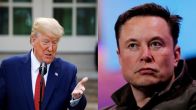 Donald Trump and elon musk