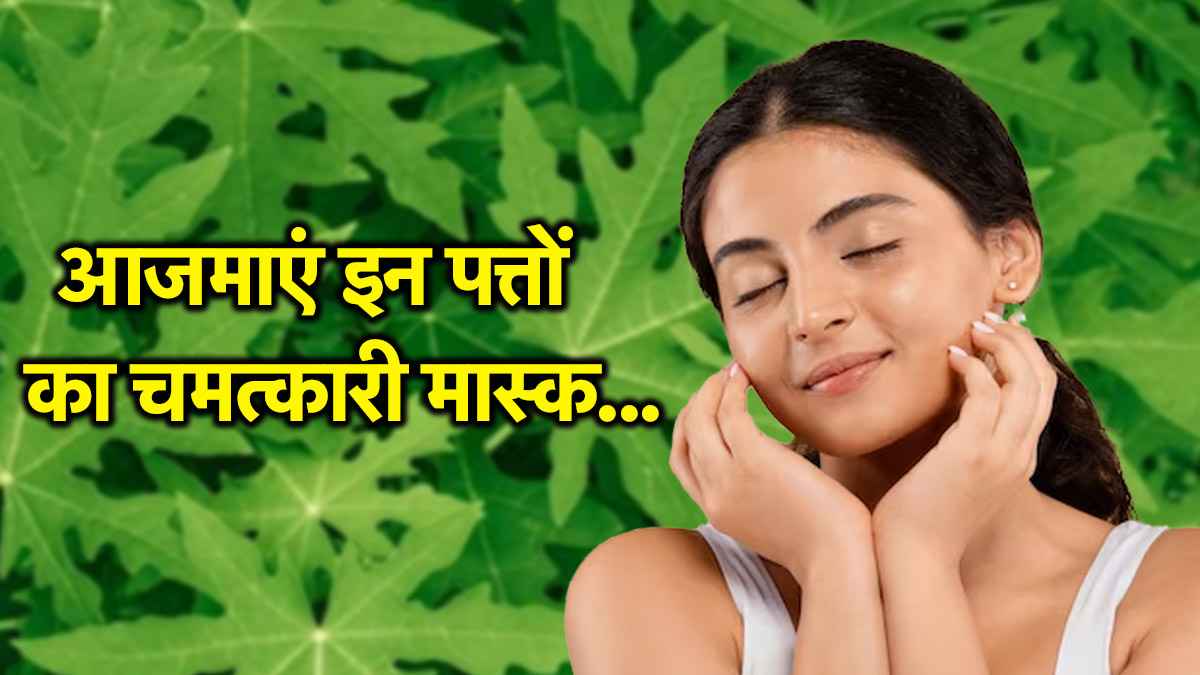 Papaya Leaf Face Mask Benefits: हर दिन लगाएं पपीते के पत्तों का मास्क और पाएं दमकती त्वचा, एक्सपर्ट की सलाह
