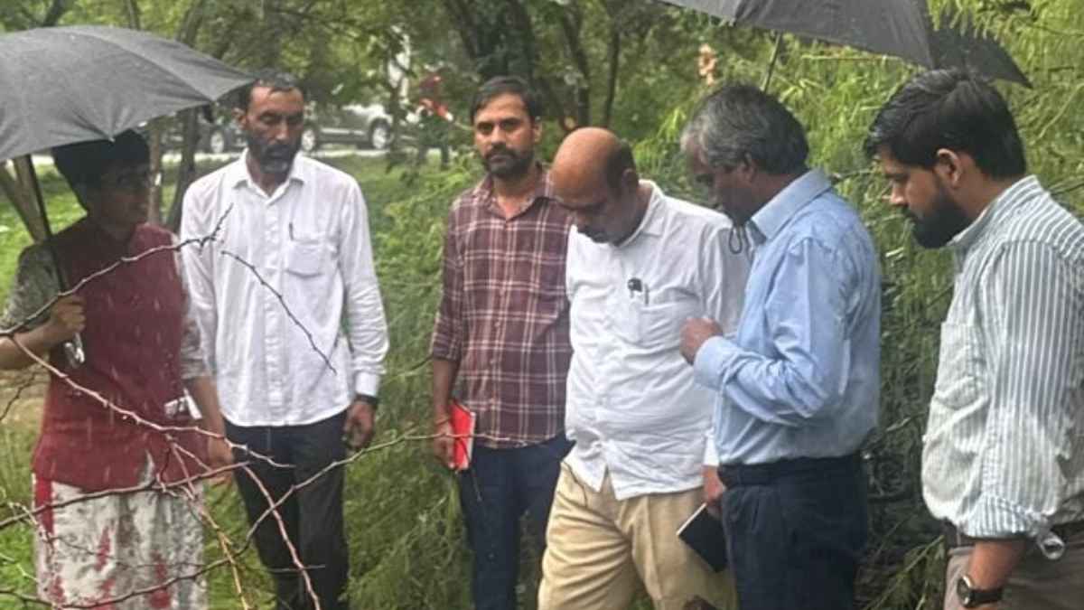 ग्रेटर नोएडा में पेड़ काटने पर बड़ा एक्शन, काॅन्ट्रैक्टर को ब्लैक लिस्ट कर एफआईआर की तैयारी