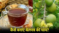 Bael Tea Recipe