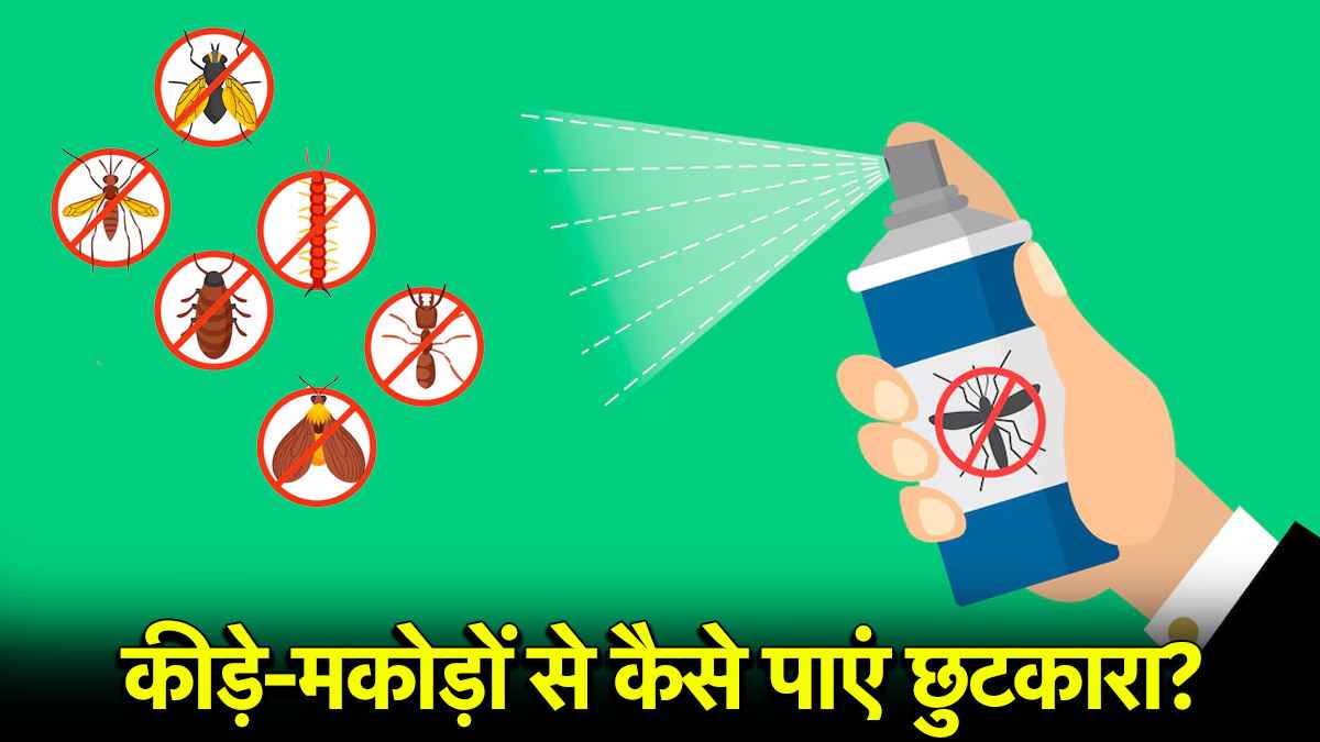 Monsoon Tips: बारिश में हैं कीड़े-मकोड़ों से परेशान? ट्राई करें ये आसान घरेलू नुस्खे