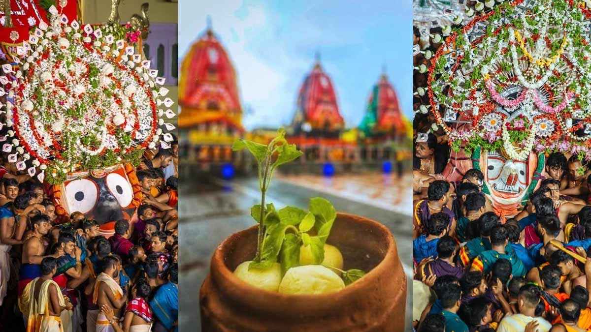 Rath Yatra 2025: रत्न सिंहासन पर आज लौटेंगे महाप्रभु जगन्नाथ, ओडिशा में मनाया जाएगा रसगुल्ला दिवस, निलाद्री बिजे कब?