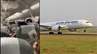 Japan Airlines Flight Plunges