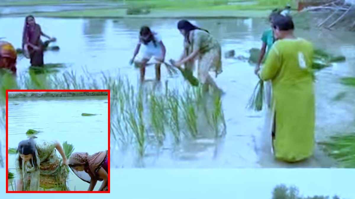 Video: धान रोपती दिखीं स्टार क्रिकेटर रिंकू सिंह की मंगेतर Priya Saroj, लोगों ने की तारीफ